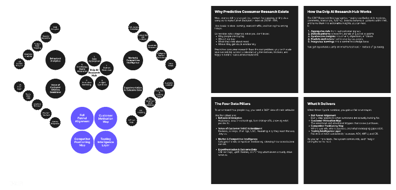 DRIP Predictive Consumer Research (Artifact)
